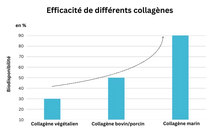 Efficacité de différents collagènes