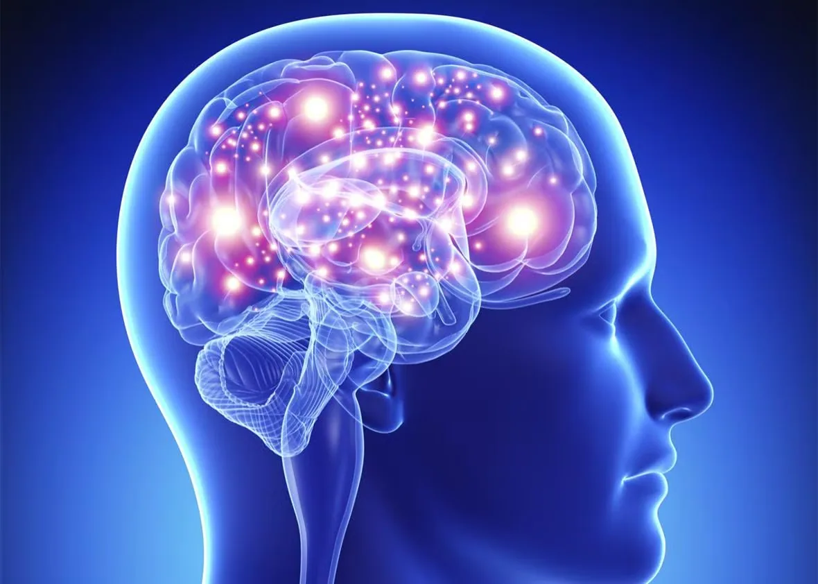 Illustration d'un cerveau humain aux connexions neuronales lumineuses