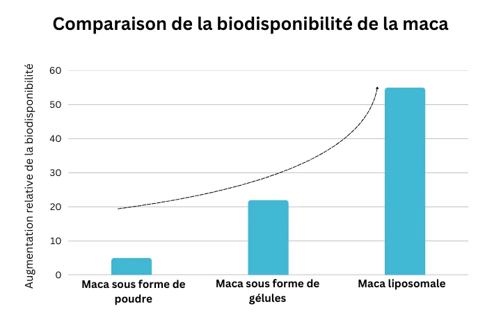 Comparaison de la biodisponibilité de la maca