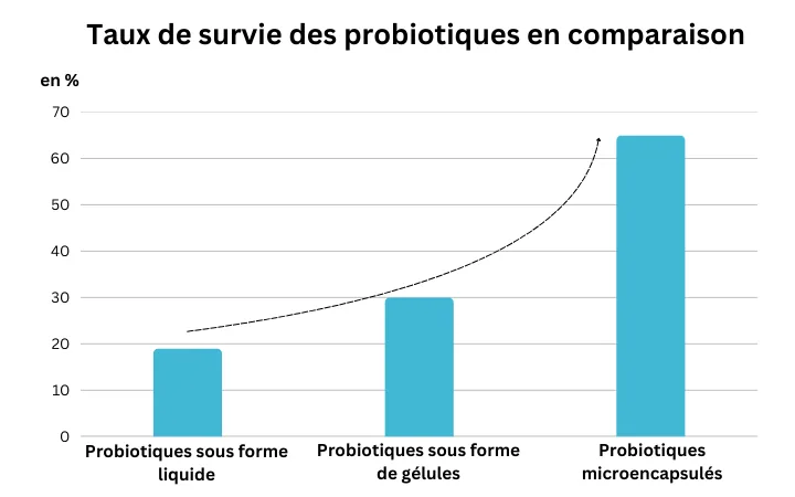 Taux de survie des probiotiques en comparaison