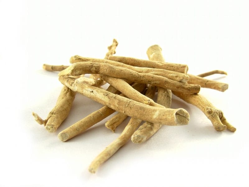 Racines séchées d'ashwagandha sur fond blanc